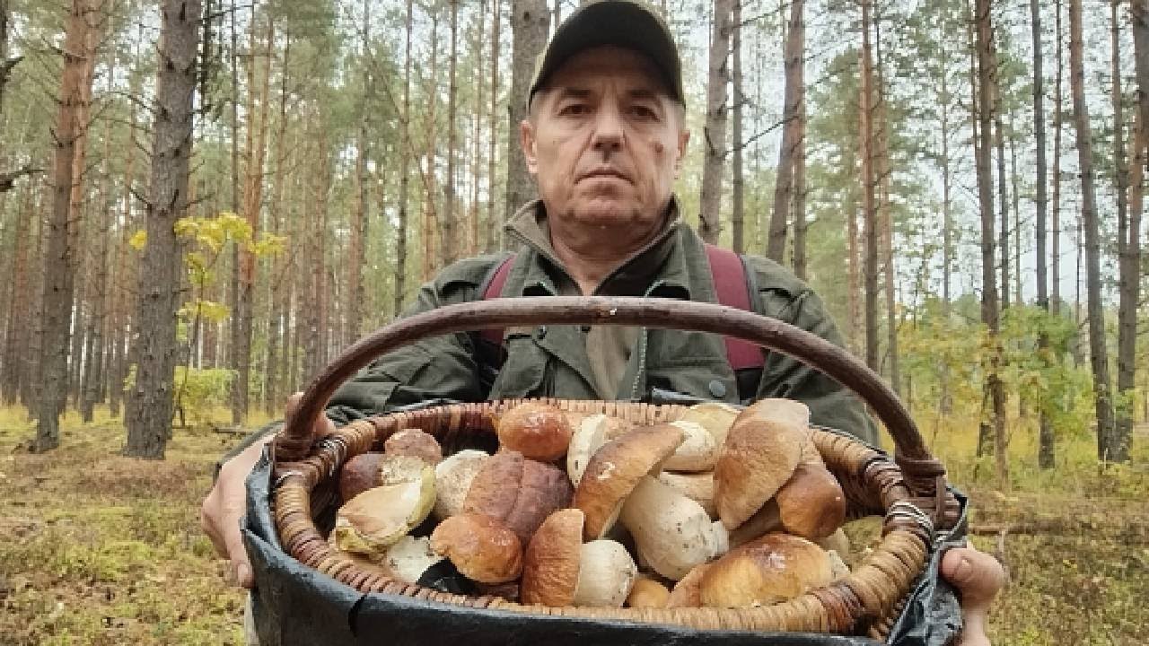 ГРИБАЛЮ ПО ДОЩУ. 10.10.25Р. БІЛИЙ ГРИБ ПРЕ....