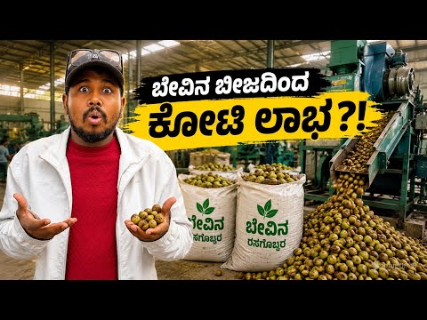 ಬೇವಿನ ಬೀಜದ ಫ್ಯಾಕ್ಟರಿ ರಹಸ್ಯ 🤯 1 ಚೀಲಕ್ಕೆ ಎಷ್ಟು ಲಾಭ ಗೊತ್ತಾ? 