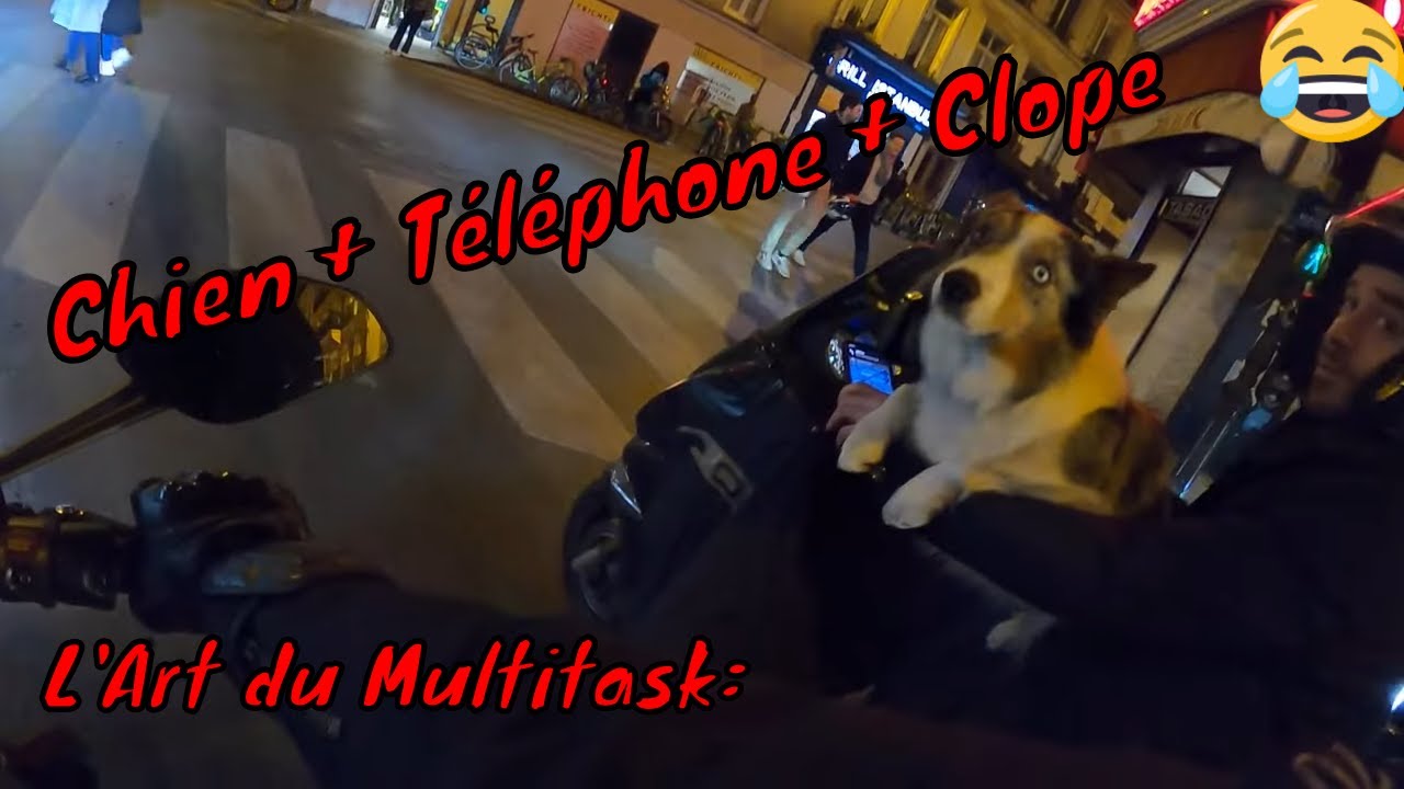 Les inepties Parisiennes  - DailyObservation #34 😅