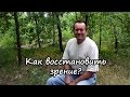 Как восстановить зрение Близорукость, Дальнозоркость, астигматизм. Здоровье глаз.