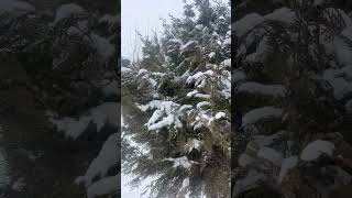 Ktgwkwgkf Aaf Naffanfaw