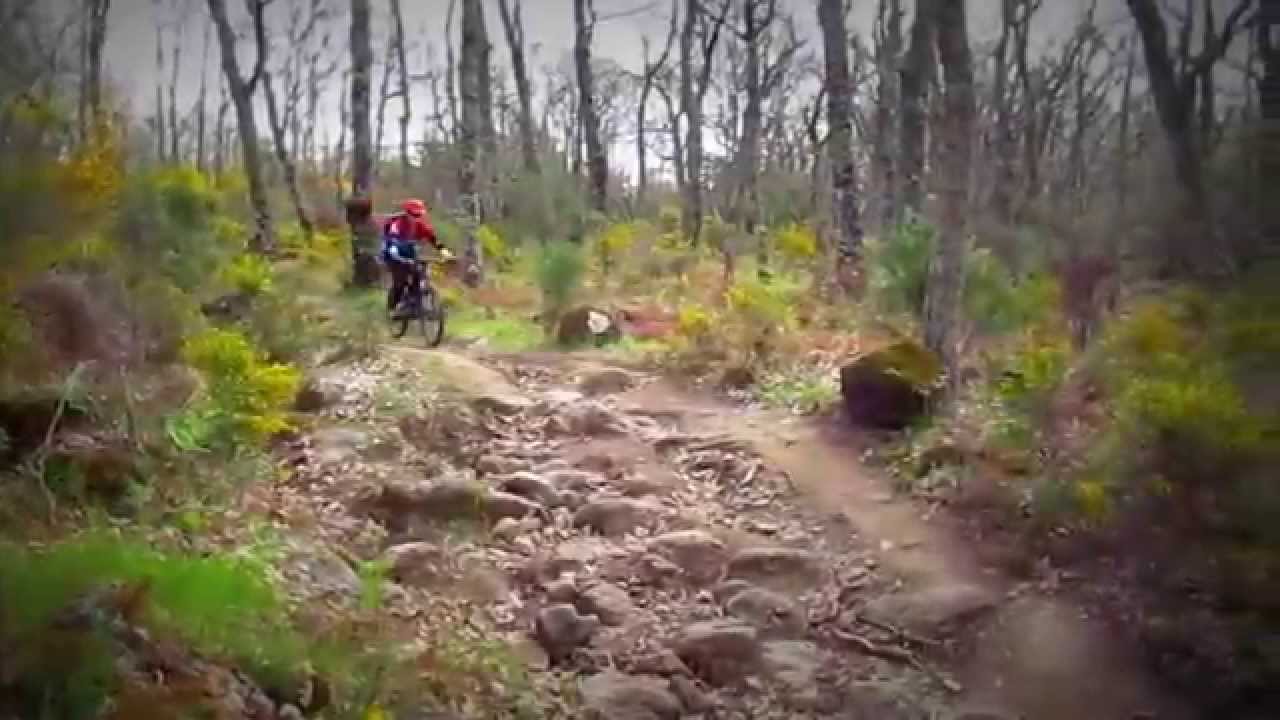 THE DREAM OF ENDURO SERRANO