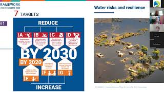 Interactive webinar: Wetland solutions to protect against droughts and floods