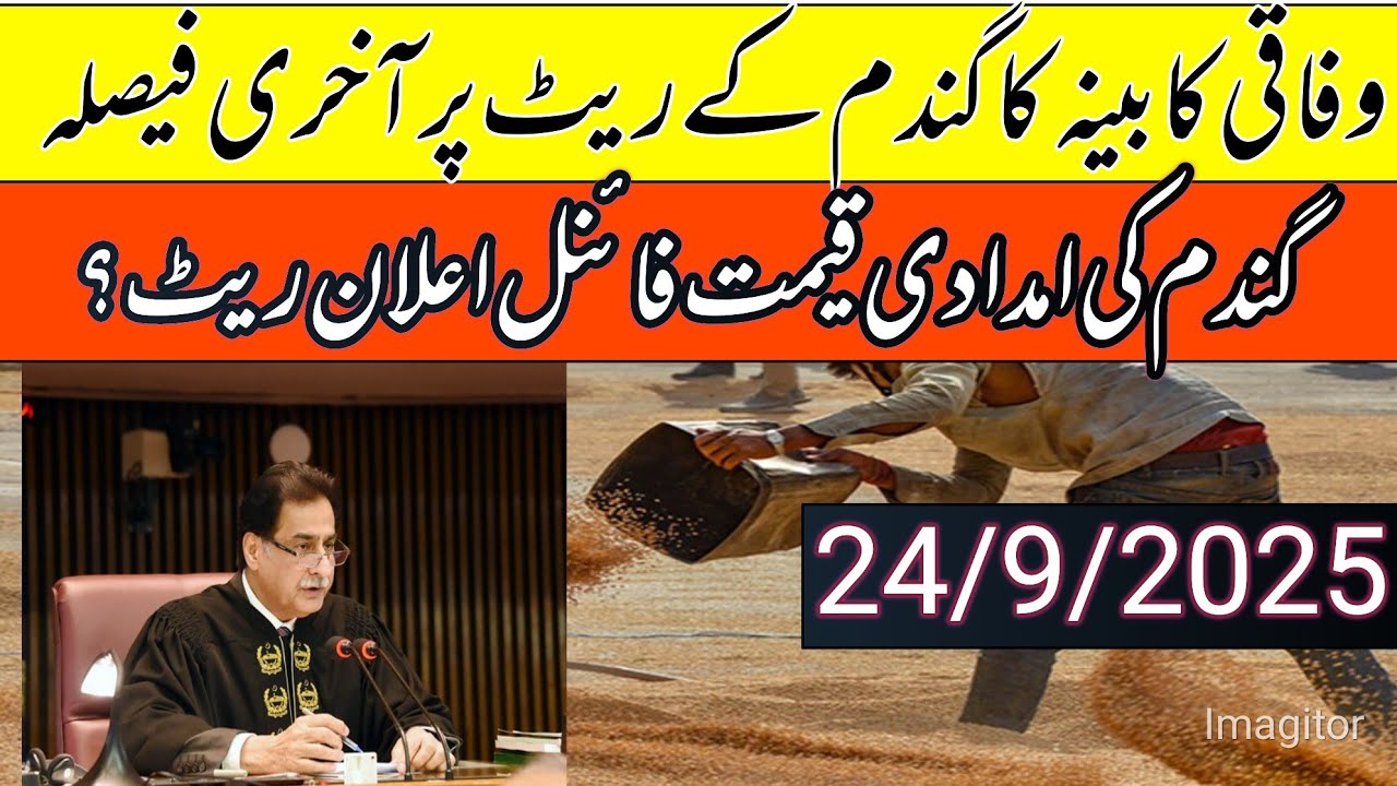 Wheat final price in Punjab pakistan2025/gundam support price in Punjab/local farmers 