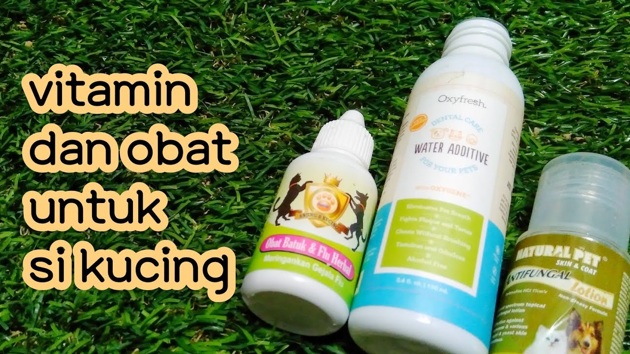 Transfer Factor Untuk Kucing / Jual Transfer Factor RioVida di lapak