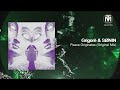 Grigor  snin  peace originates original mix diynamic