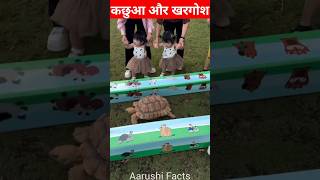 Rabbit And Tortoise L Tortoise And Rabbit L Tortoise Story L Rabbit And Tortoise Story L Hindi Story