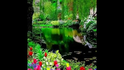 سورة الناس للقارئ الشيخ عادل ريان