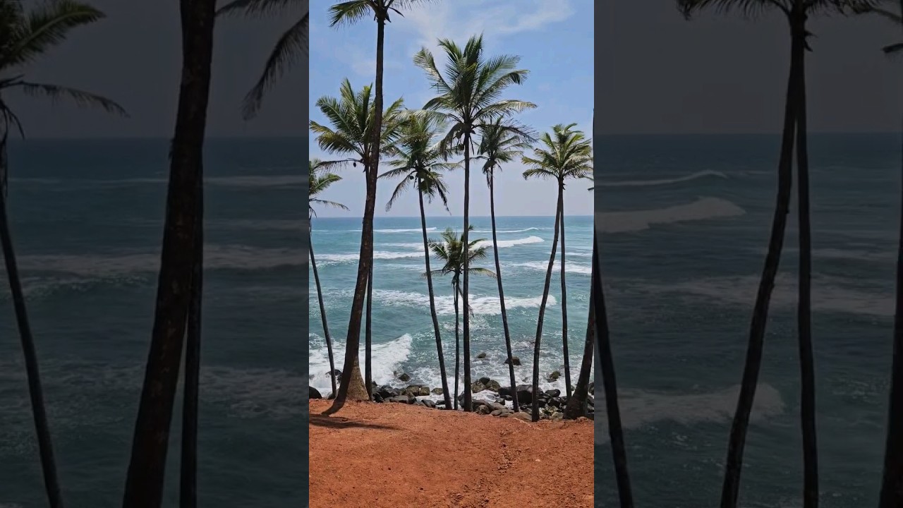 Coconut Tree Hill - Mirissa, Sri Lanka 🇱🇰🌴 Another Travel Bucket List Item Ticked Off My List 🌸