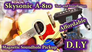 Pick Up | Skysonic  A-810 Sound Hole Pickup #pickup #acousticguitar #diyguitar