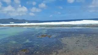 Walk To Near Reef In Marine Beach