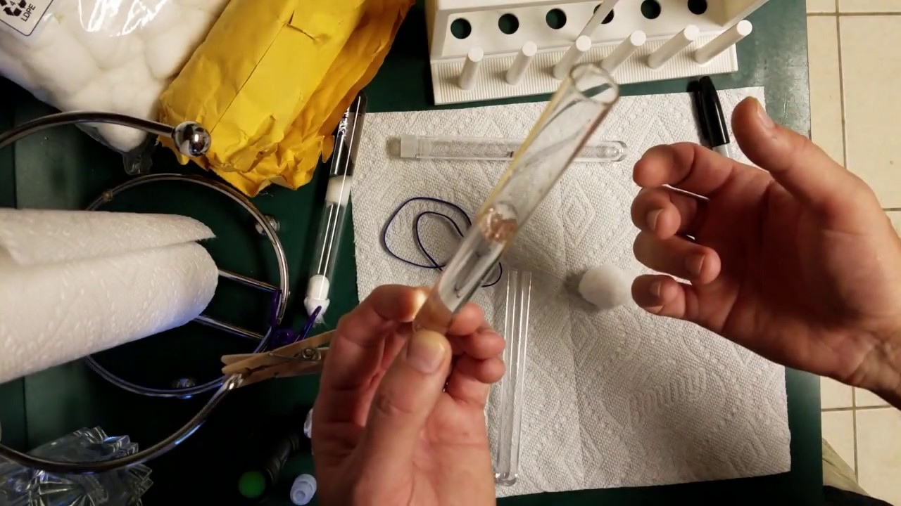 My system for tubing ants