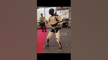 Tesla Optimus Learns Kung Fu