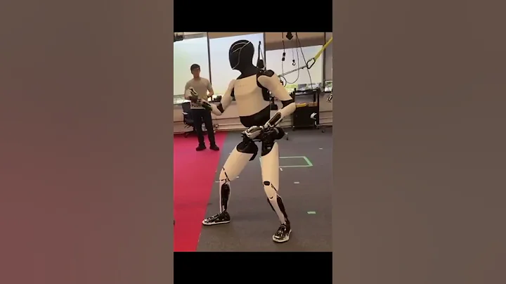 Tesla Optimus Learns Kung Fu