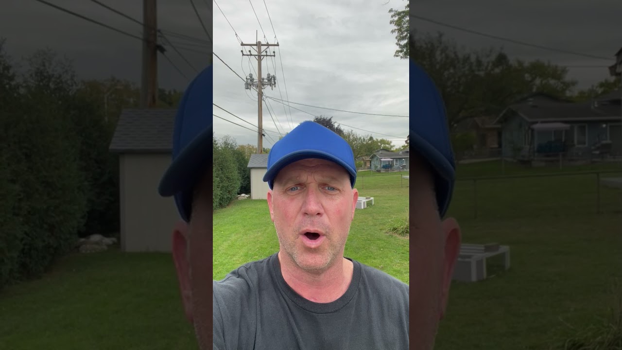 You Are Being Lied To