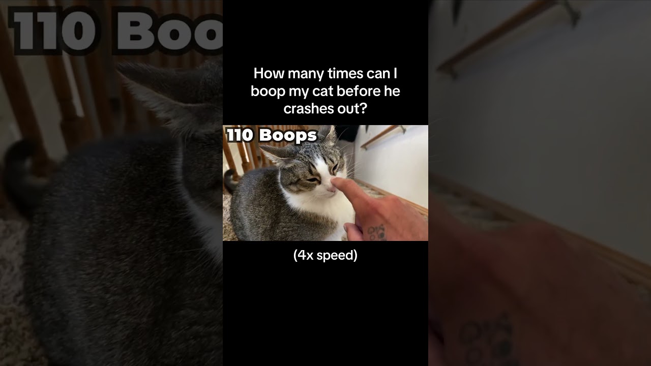 2x speed got 3 MILLION views so you can NOT blame me for trying this again