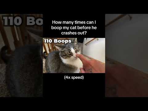 2x speed got 3 MILLION views so you can NOT blame me for trying this again