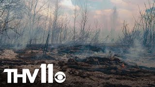 Preventative measures to reduce wildfire risks
