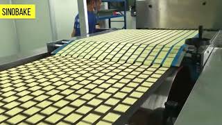 HJ1200 Hard Biscuit Forming Machine 20220620#biscuits #youtube