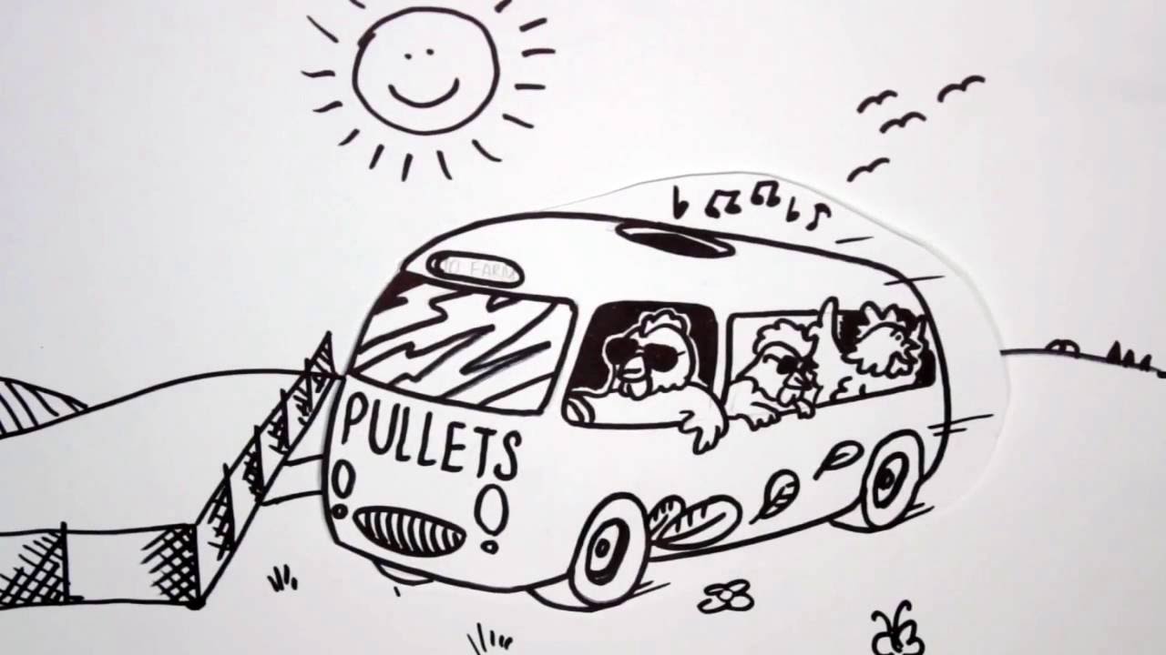 Hand drawn video animation about chicken caravan.