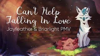 Can&#39;t Help Falling In Love || Jayfeather &amp; Briarlight PMV