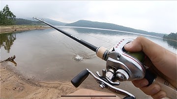 Câu Lure Cá Lóc Ở Hồ Chứa Nước Lâu Năm.| Snakehead