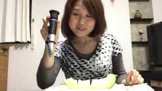 糖度計で糖度を調べるのだ・メロン編　　investigation the sugar content by sugar content meter・melon