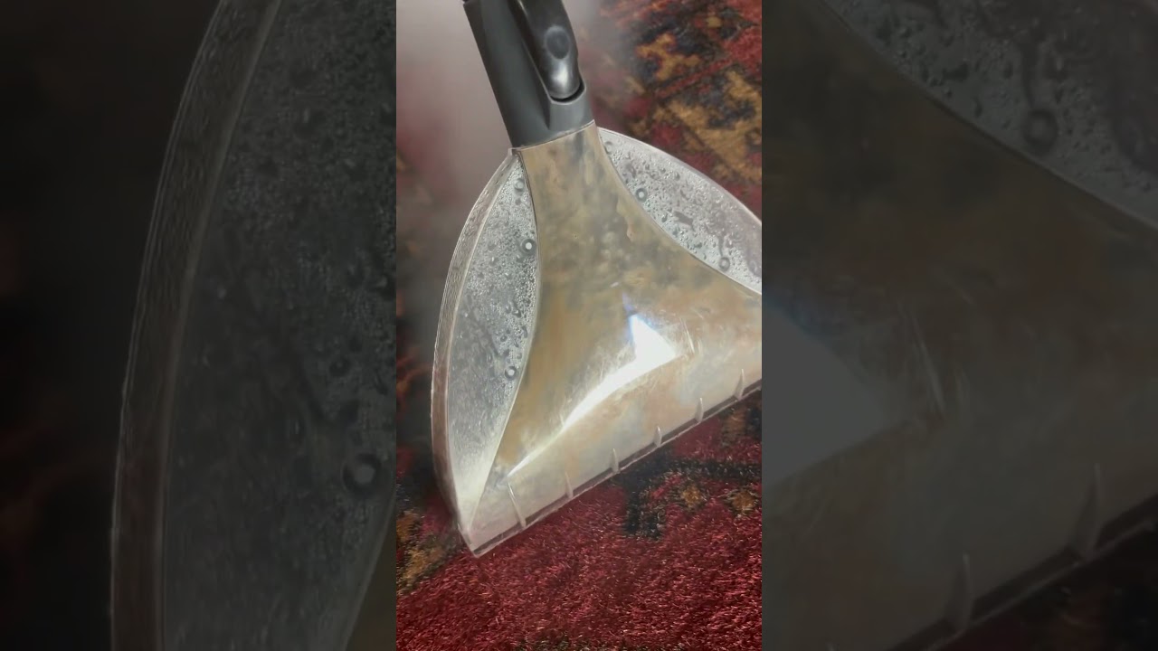 Dry Steam cleaning Persian Carpet . Deep extraction removes dirt and sanitizes. Quick dry