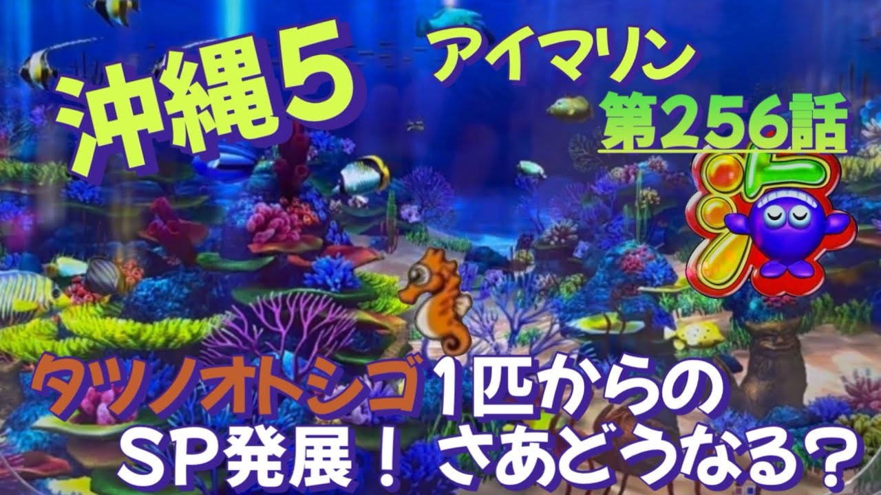【循環改造済み】PAスーパー海物語 IN 沖縄5 with アイマリン 循環改造済み】PAスーパー海物語 IN 沖縄5 with アイマリン PAスーパー