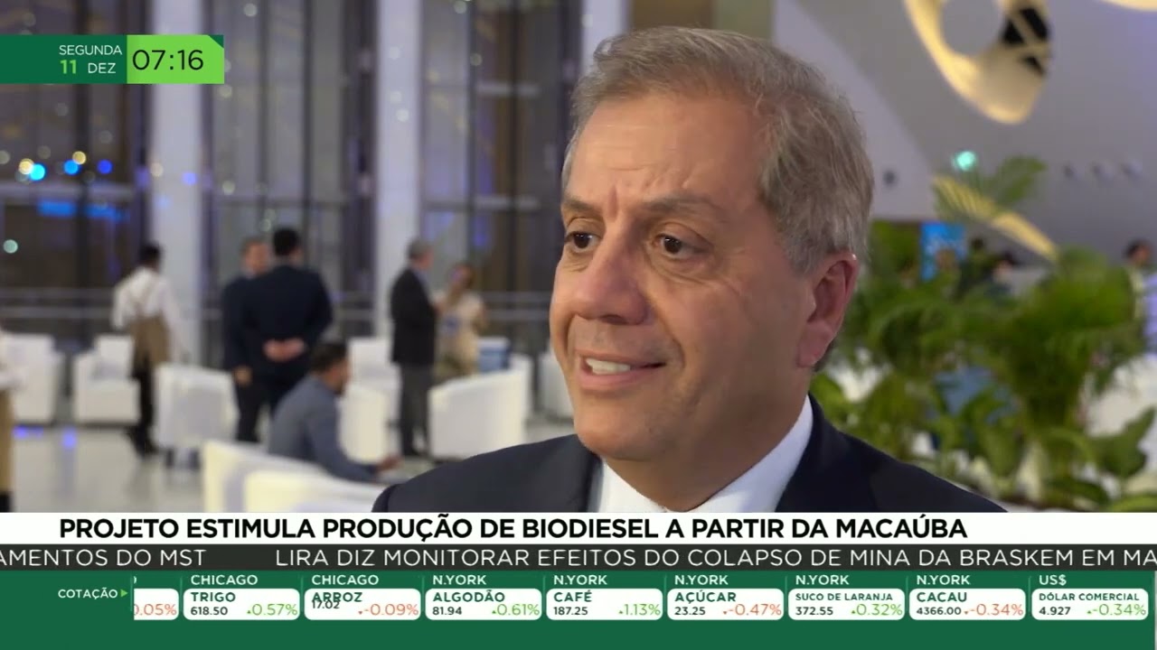 Projeto estimula produção de biodiesel a partir de macaúba
