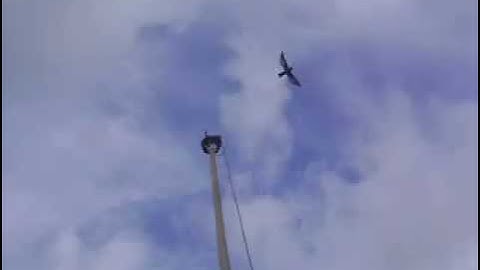 Suara walet Tarik Swiftlet Sounds เสียง นกนางแอ่น Swallows Voice