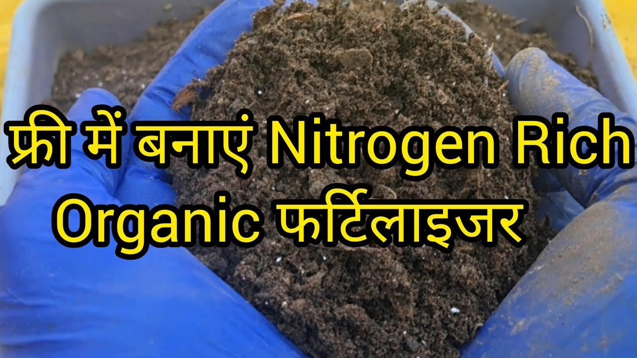 How to make Organic manure from vegetable waste|मटर के छिलकों से नाइट्रोजन कैल्शियमरिच खाद कैसेबनाएं