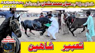 Tabeer تعبیرl Shaheen شاہین l Punjabi Horse Dance l 13 April 2026 l Mohlan Kamalia Part 93