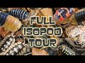 Full Tour of all our ISOPODS