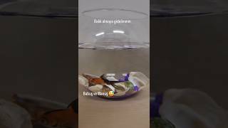 Ben bir şey yaptım 👉🏻👈🏻