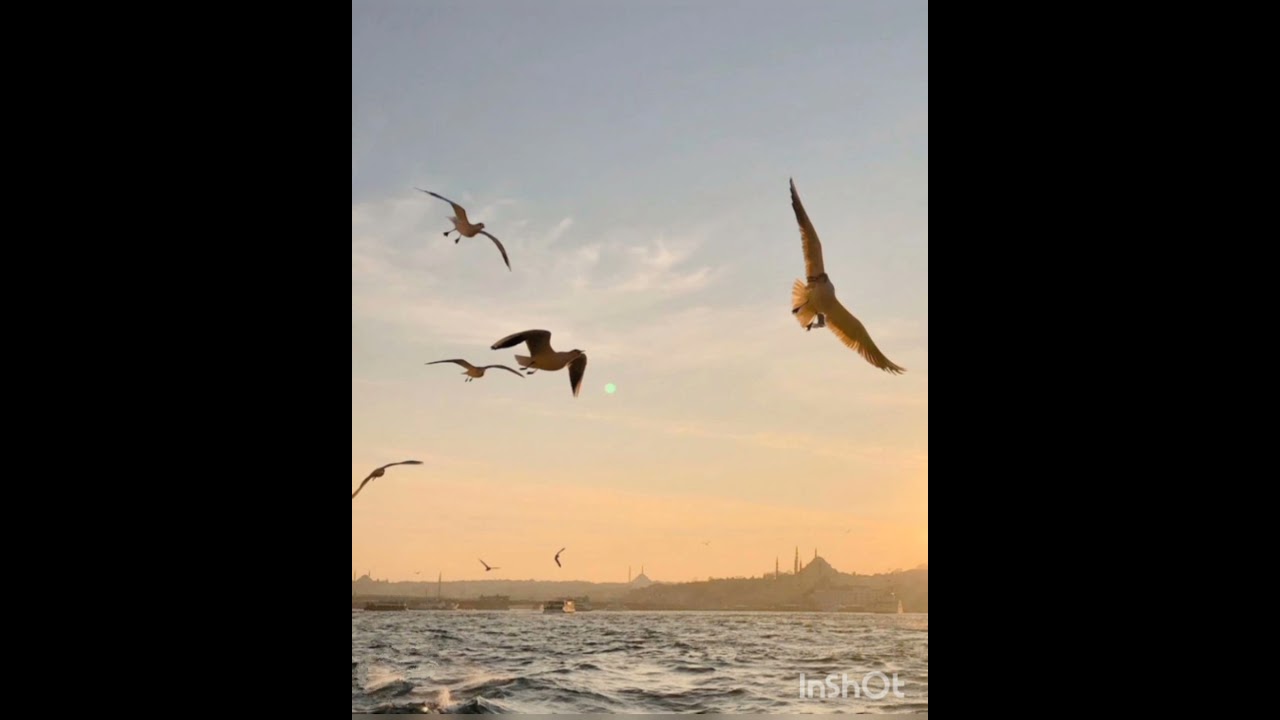 Kış Güneşi Albüm Neyzen Cem Çapraz