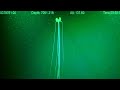 Magnapinna squid attack  new rov footage 2023  deepsea oddities