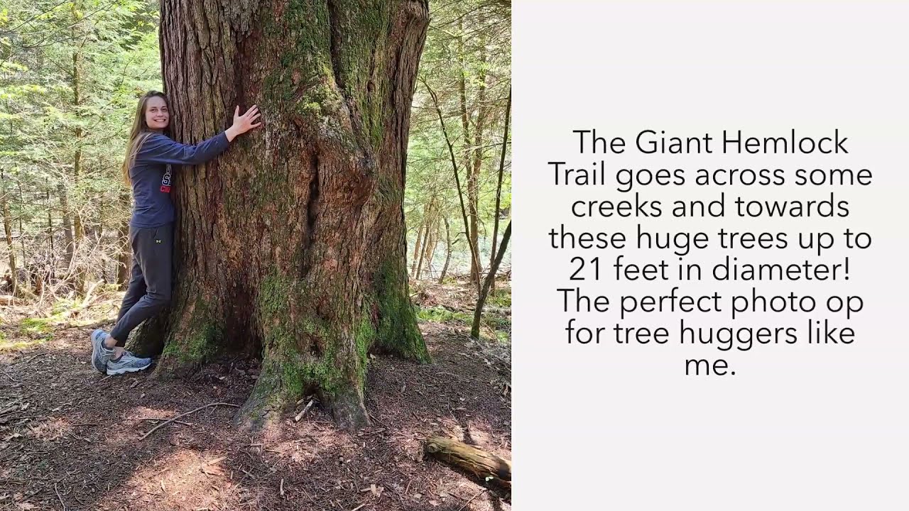 Instagrammable spots in West Virginia | WV State Parks | Photo Ops | Budget Travel Guide