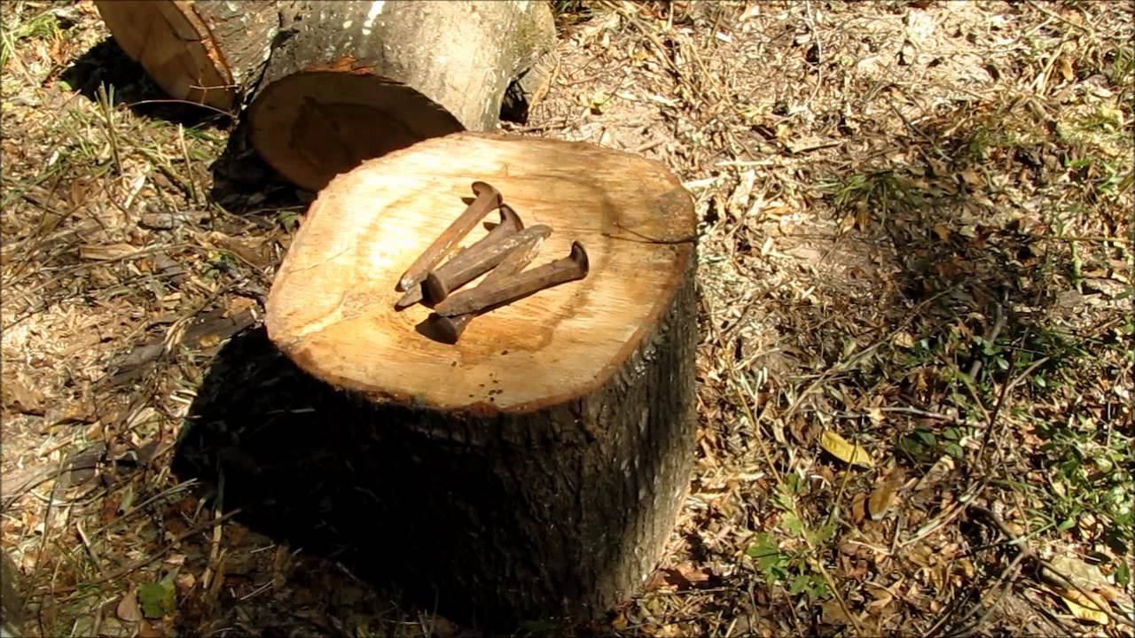 Splitting firewood with railroad spikes