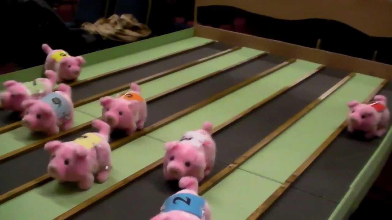 Laugh Your Socks Off As These Fluffy Pigs Race YouTube