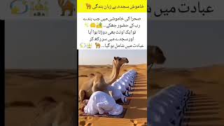 Camel Joins Prayer in the Desert 🐪🤲✨#shorts #explore #shortvideo #subscribe #youtubeshorts #viral