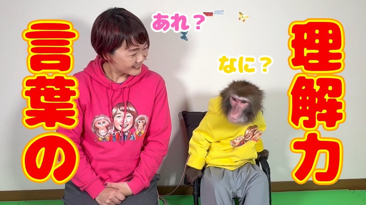 くぅちゃんはもう人間なんじゃないかって思うんです。 - YouTube
