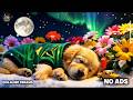 5 HOURS Calming Dog Music 🐕 Your Puppy Will Finally Rest