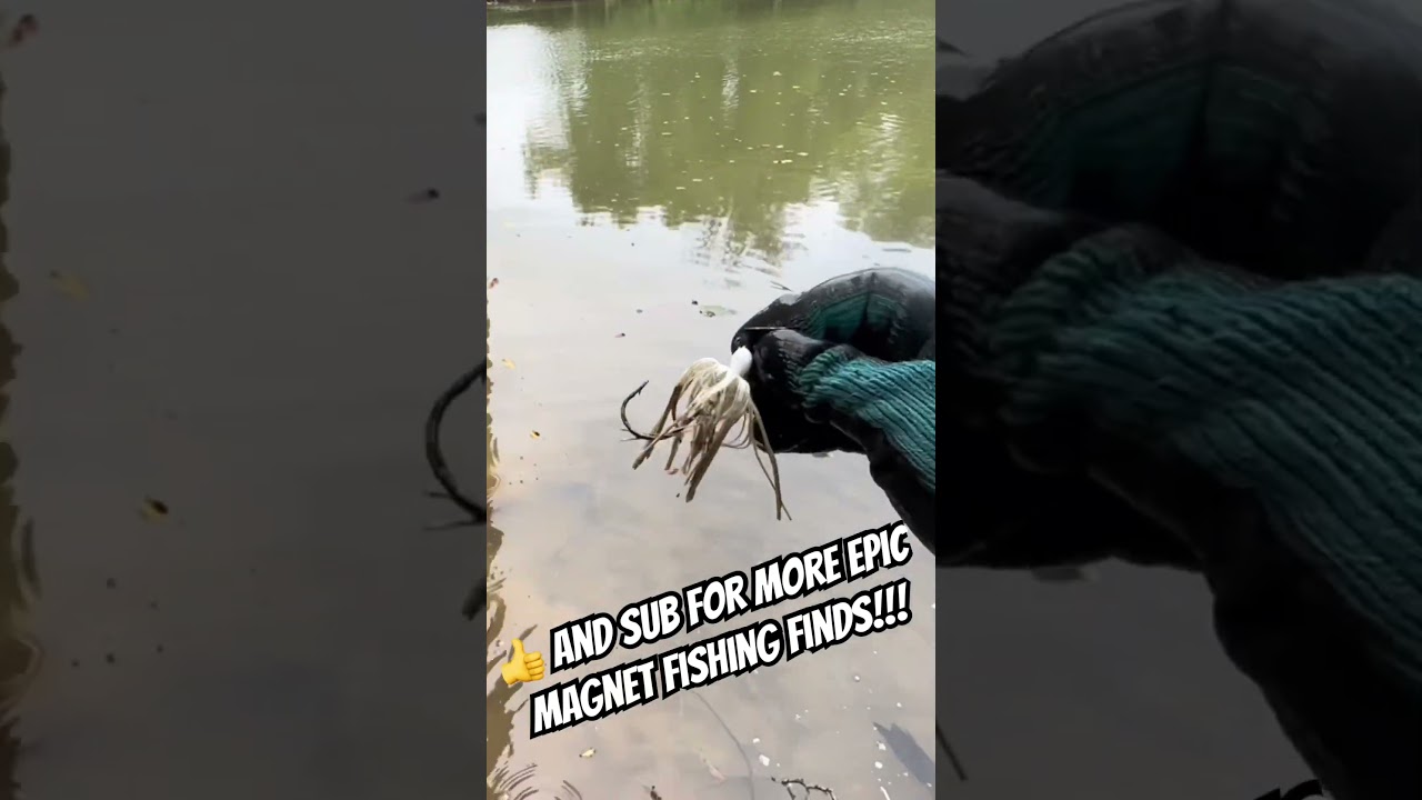 Magnet fishing found an epic lure!!!