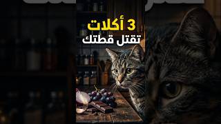 احذر! 3 أكلات منزلية تقتل قطتك فوراً دون أن تعلم