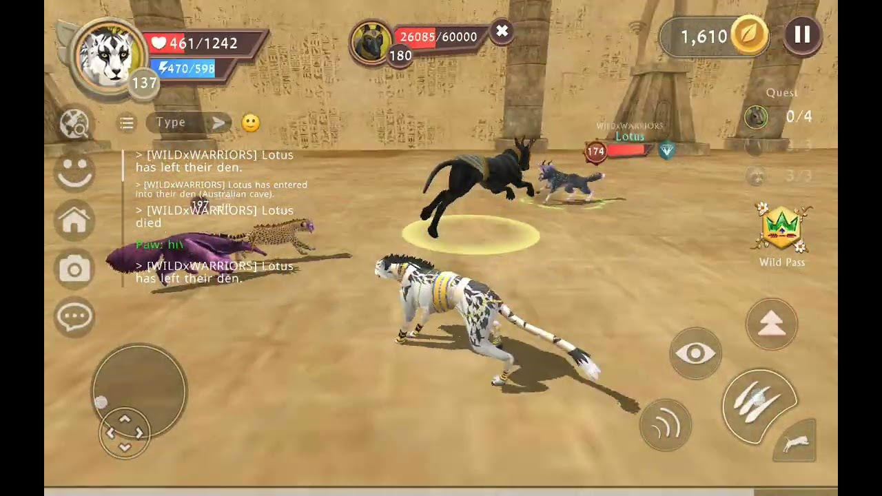 Killing boss with my clan Elder