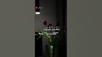 تلاوة خاشعة ومؤثرة القارى إسلام صبحي 🎧❤️‍🩹 #أرح_سمعك_وقلبك #اكسبلور #طمئن_قلبك #اسلام_صبحي