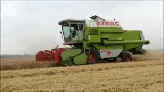 HARVEST 2014
