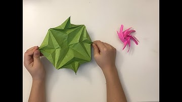 Origami Tutorial - Octopus Flasher (Jeremy Shafer)