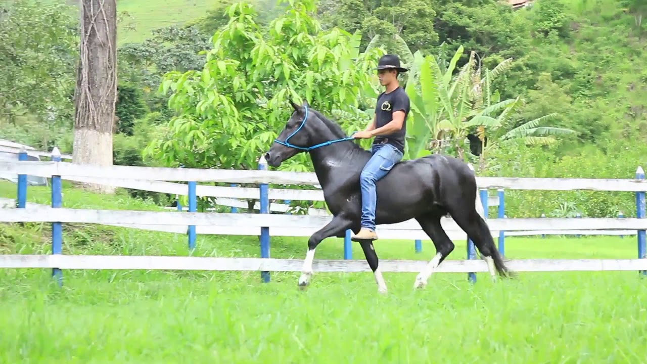 Lote 01 kirov - YouTube